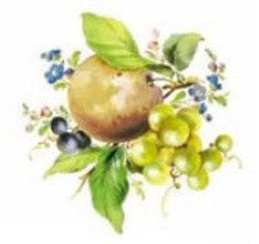 DECALQUE CLASSIC FRUIT 