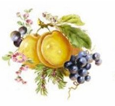 DECALQUE CLASSIC FRUIT 