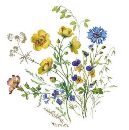 DECALQUE MEADOW FLOWERS 