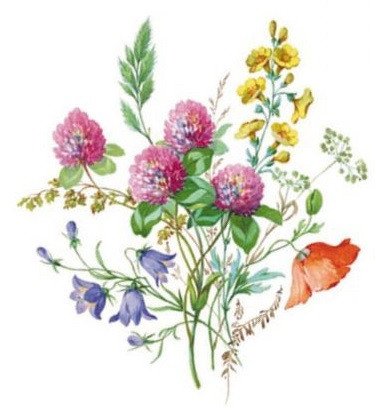 DECALQUE MEADOW FLOWERS 