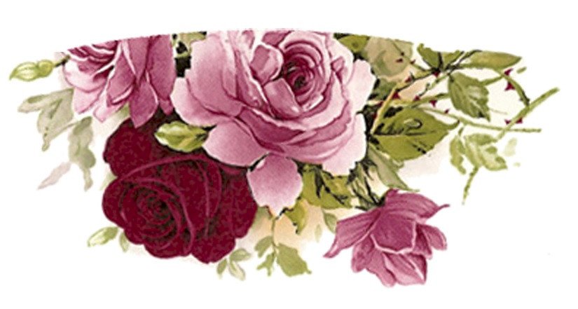 DECAL PINK SUMMER CUP