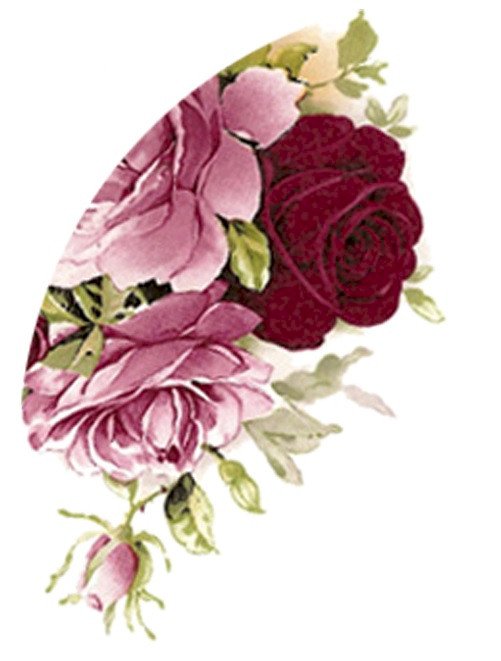 DECAL PINK SUMMER PIRES