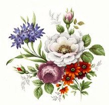 DECALQUE FLORES - DEC274