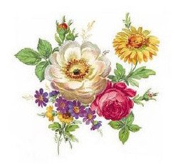 DECALQUE MEISSEN FLOWERS - DEC269