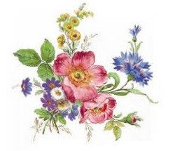 DECALQUE MEISSEN FLOWERS 