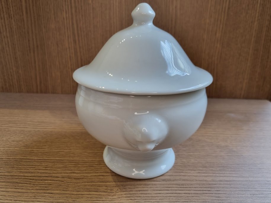 BOWL SOPA COM TAMPA - BOW037 