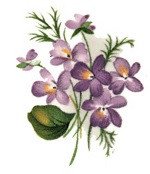 DECALQUE SWEET VIOLETS 