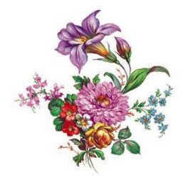DECALQUE MEISSEN FLORAL 