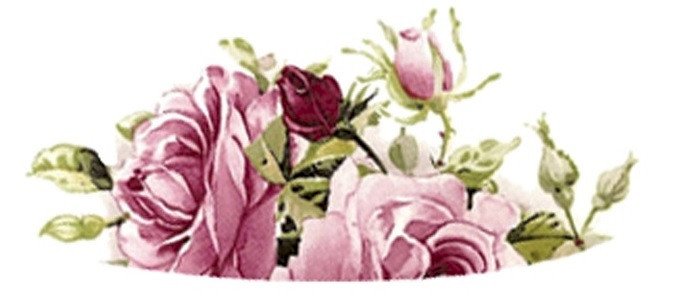 DECAL PINK SUMMER CUP