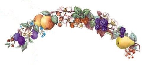 DECALQUE FRUITS - DEC195 