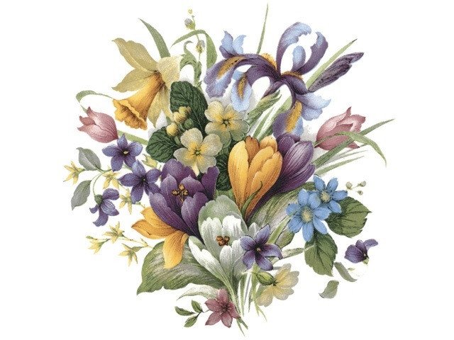 DECALQUE SPRING - DEC156 