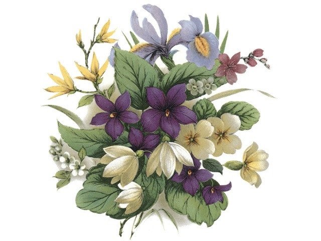 DECALQUE SPRING - DEC146