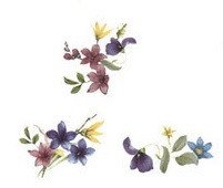 DECALQUE SPRING - DEC130