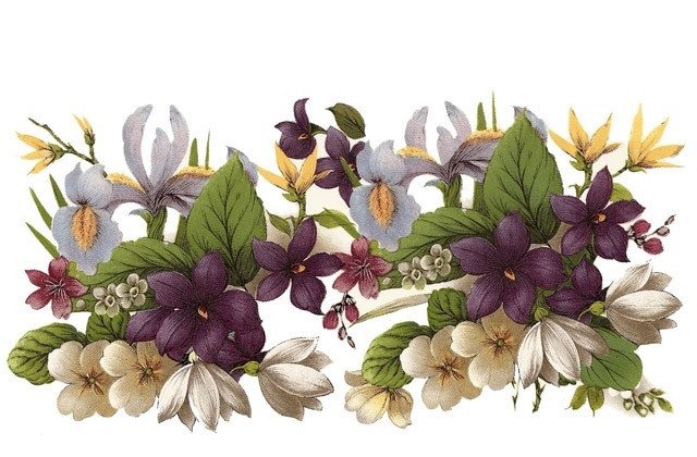 DECALQUE VIOLET MUG - DEC127 