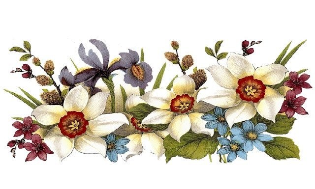 DECALQUE DAFFODIL MUG 2 - DEC126