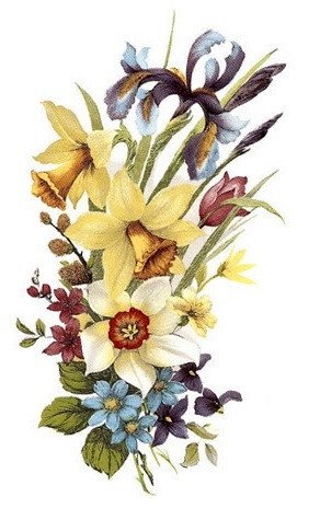 DECALQUE SPRING - DEC124 