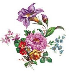 DECALQUE MEISSEN FLOWERS - DEC116 