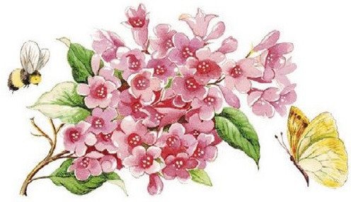 DECALQUE PINK FLOWER - DEC106