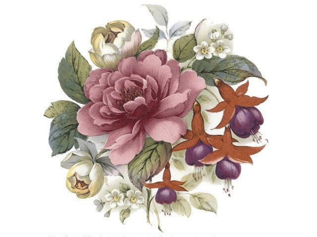 DECALQUE SUMMER - DEC076 