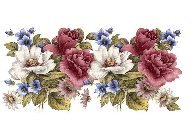 DECALQUE CAMELIA MUGWRAP - DEC072 