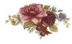 DECALQUE SUMMER - DEC066 