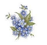 DECALQUE FORGET-ME-NOT - DEC056 