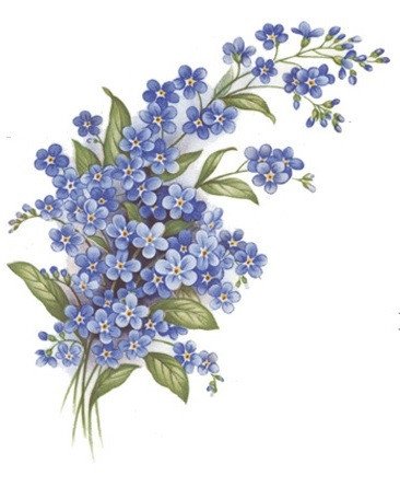 DECALQUE FORGET-ME-NOT - DEC054 