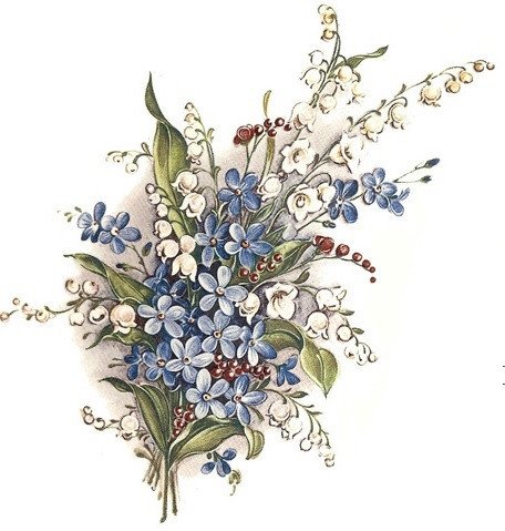 DECALQUE LILY - DEC048 