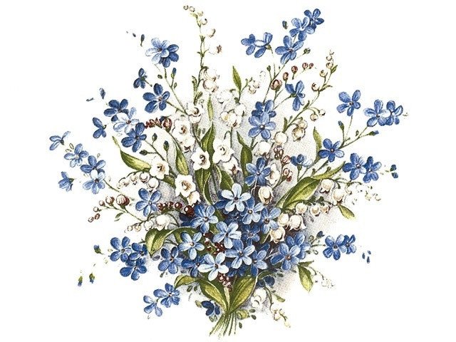 DECALQUE LILY - DEC042 