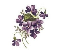 DECALQUE VIOLETS - DEC027 