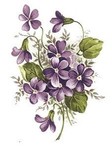 DECALQUE VIOLETS - DEC025 