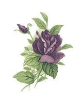 DECALQUE ROSE PURPLE - DEC019 