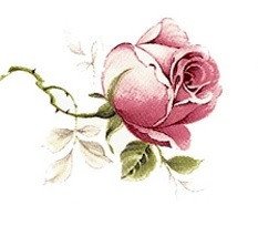 DECALQUE JUBILEE ROSE - DEC013 