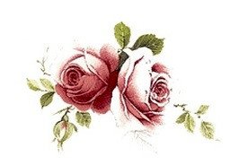 DECALQUE JUBILEE ROSE - DEC012