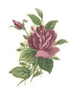 DECALQUE ROSE PINK - DEC011 