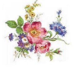 DECALQUE MEISSEN FLOWERS - DEC002