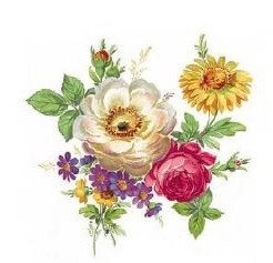 DECALQUE MEISSEN FLOWERS - DEC001 