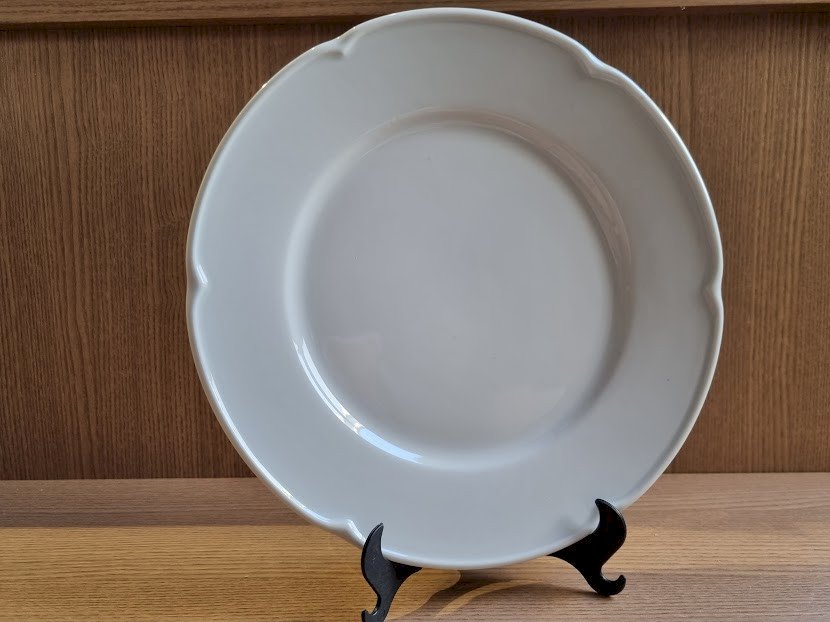 PRATO RASO PROVENZA - PRA034 