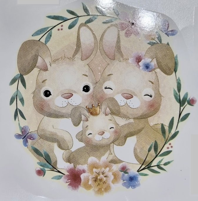 DECALQUE COELINHOS - DEC551