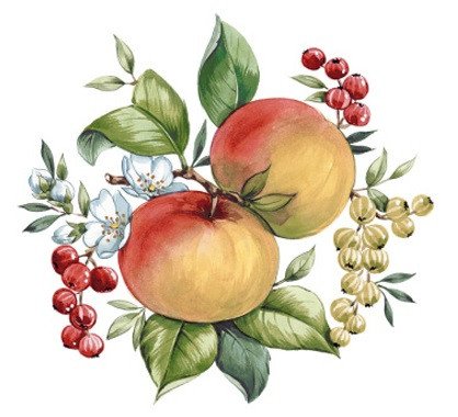 DECALQUE APPLE - DEC638