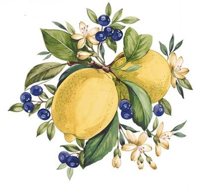 DECALQUE LEMON - DEC654