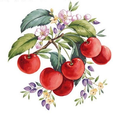 DECALQUE CHERRY - DEC664