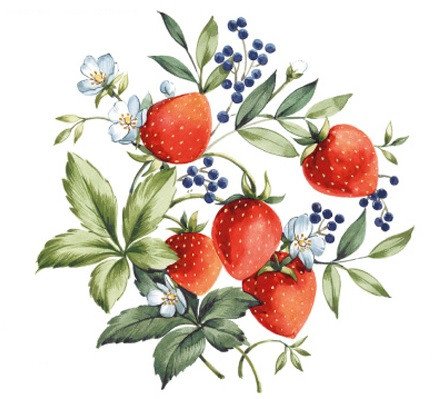 DECALQUE STRAWBERRY - DEC668