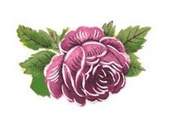 DECALQUE ROSE GALA - DEC673