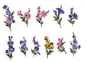 DECALQUE CLASSIC FLORAL - DEC313