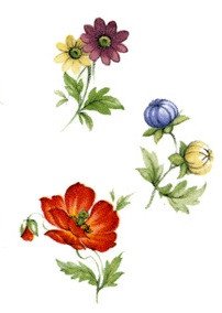 DECALQUE TRADITIONAL - DEC688