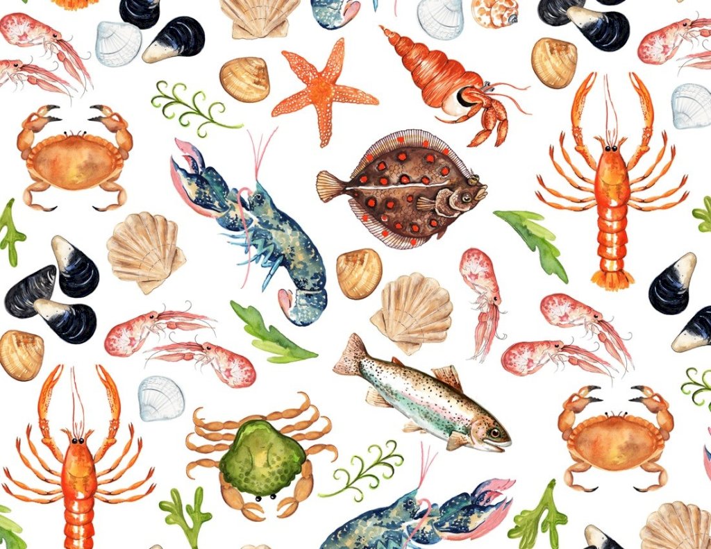 TAPETE SEALIFE - DEC735