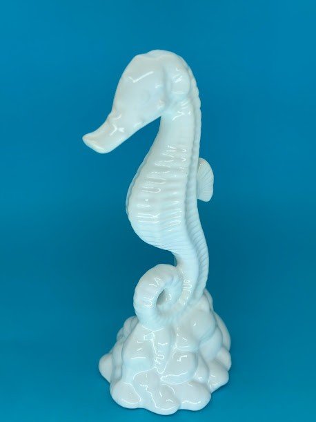 CAVALO MARINHO G - CAV002 