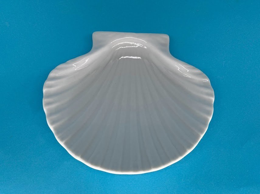 CONCHA DO MAR COM RELEVO - CON006