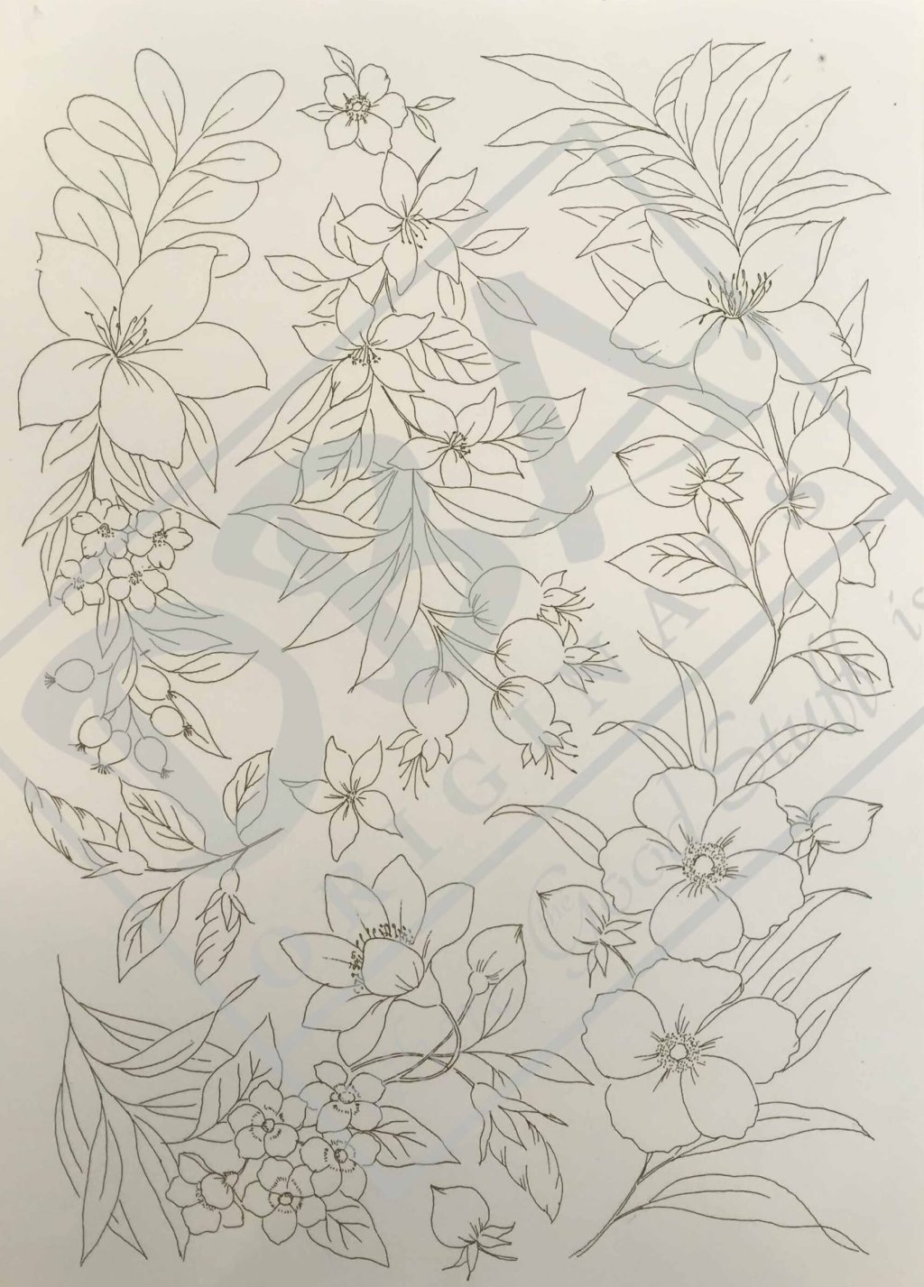 DECALQUE 41 CARILOS 2 - DEC819